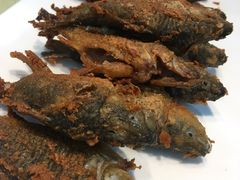 -凤中皇清远鸡村(凤城店)