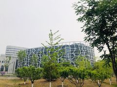 -首都医科大学附属北京天坛医院