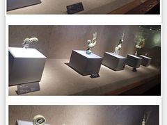 -三星堆博物馆
