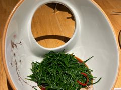 -蒙料·手把肉(望京店)