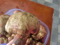 -阿葉农家饭店