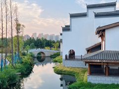 -洋湖国家湿地公园