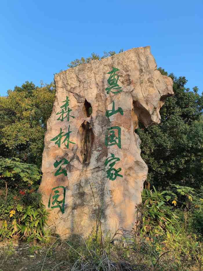 惠山国家森林公园-"2020年的第一场雪,美不胜收.今天一.