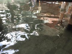 -陆地游轮吉林神农温泉