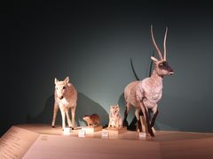-中国湿地博物馆
