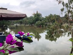 -洪湖家庭农场·团建·露营·会议