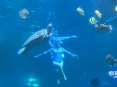 -福州罗源湾海洋世界旅游区