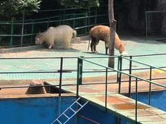 -南昌动物园