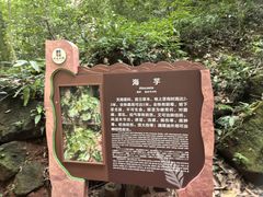 -赤水丹霞旅游区·佛光岩