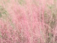 -艾溪湖湿地公园