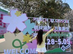 -金鸡湖桃花岛