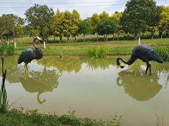 -紫颐香薰山谷景区