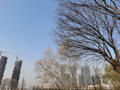 -七桥瓮公园