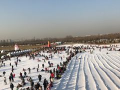 -绿野森林乐园冰雪季