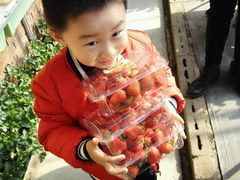 -甜心庄园·甜心草莓采摘园(西青中北店)