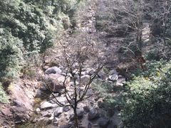 -花岩国家森林公园