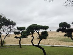 -普陀山风景名胜区-千步大沙