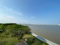 -大湾区中央湿地公园