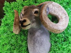 -彩虹之约•淮扬家宴(亚运村店)