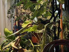 -Thai Basil罗勒叶泰式餐厅(时代天街店)