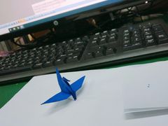 -大鲁阁保龄球(苏州园区店)