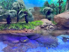 -上海海洋水族馆