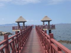 -养马岛旅游度假区