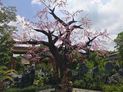 -南宁花花大世界景区