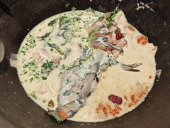 -鲜潭蒸汽石锅鱼(五道口购物中心店)