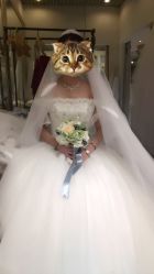 -全城热恋璀璨婚纱摄影(国贸总店)