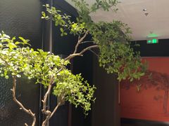 -苏淮景·苏闽融创菜·海鲜(原空港井河轩店)
