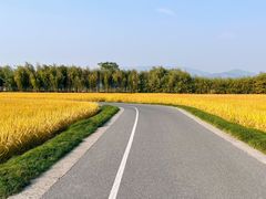 -良渚古城遗址公园