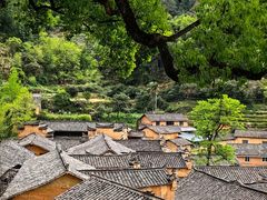 -杨家堂村