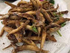 -外沙疍家棚酒楼