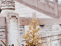 -三林塘老街