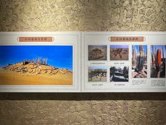 -巴音郭楞蒙古自治州博物馆