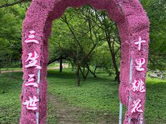 -黛秀湖公园