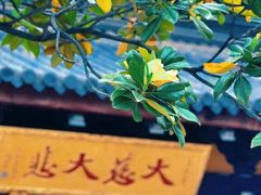 -龙华寺