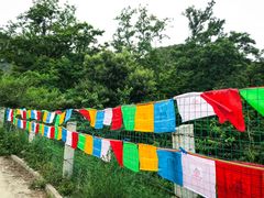 -阳台山自然风景区