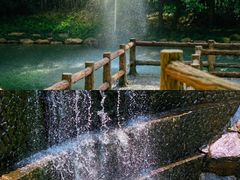 -大奇山国家森林公园