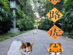 -广州兰圃