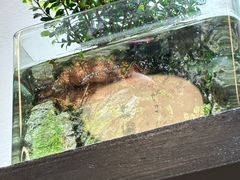 -汕味十足·汕尾特色小吃(海珠店)