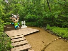-大青沟风景区