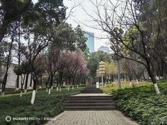 -重庆市江北嘴中央商务区中央公园