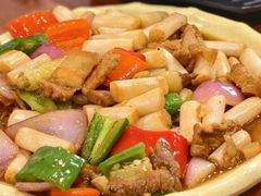 -亲子百果农庄