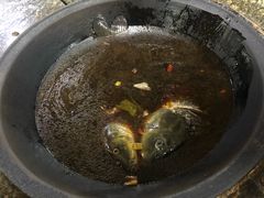 -夏家大锅台炖鱼馆