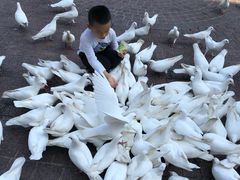 -东部华侨城