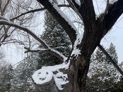 -颐和园