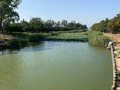 -大兴滨河森林公园