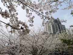 -江南大学(蠡湖校区)